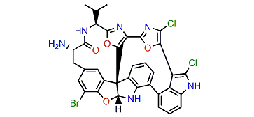 Diazonamide B
